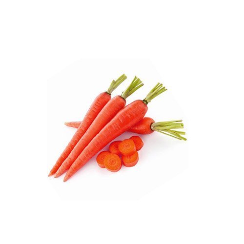 CARROT RED